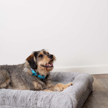 Wombat Pet Bed
